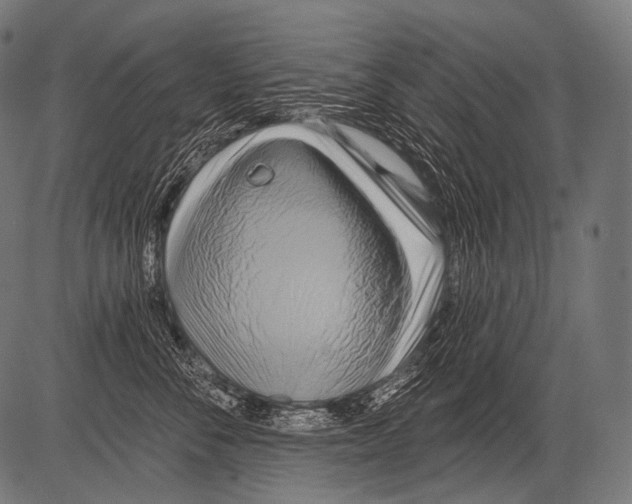X0000081500716200702100055