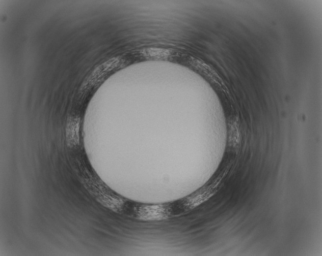 X0000081500717200702100055