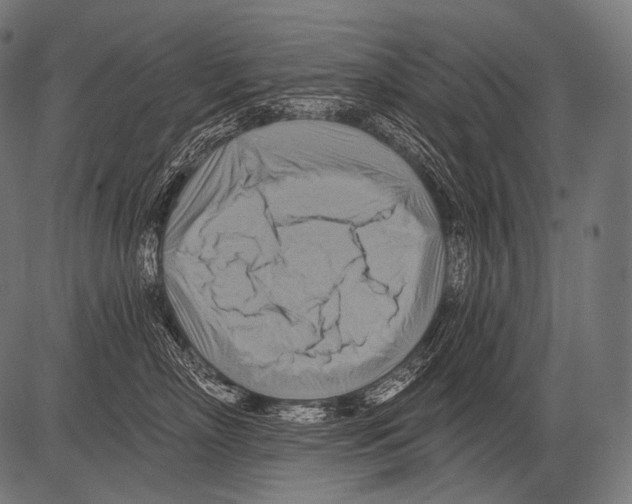 X0000081500718200702100055