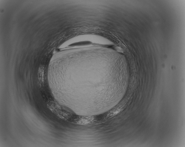X0000081500720200702100055