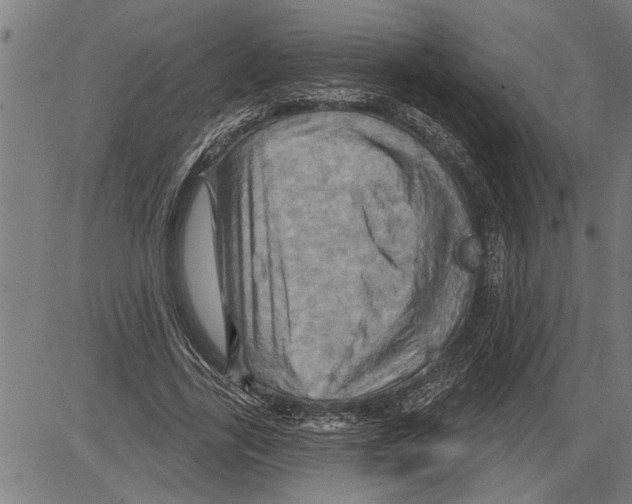 X0000081500731200702100055