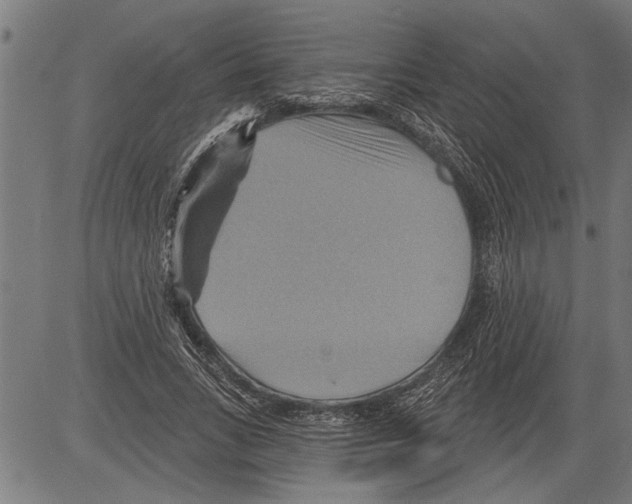 X0000081500735200702100055
