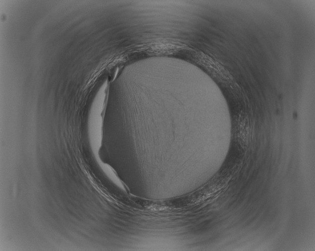 X0000081500742200702100055