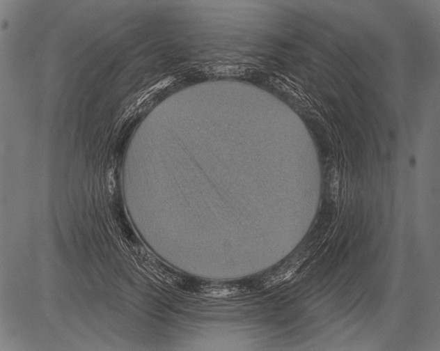 X0000081500746200702100055