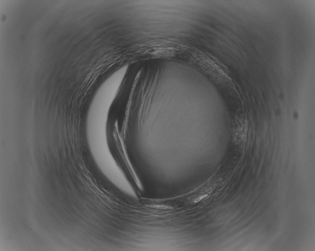 X0000081500748200702100055