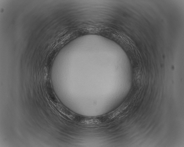 X0000081500752200702100055