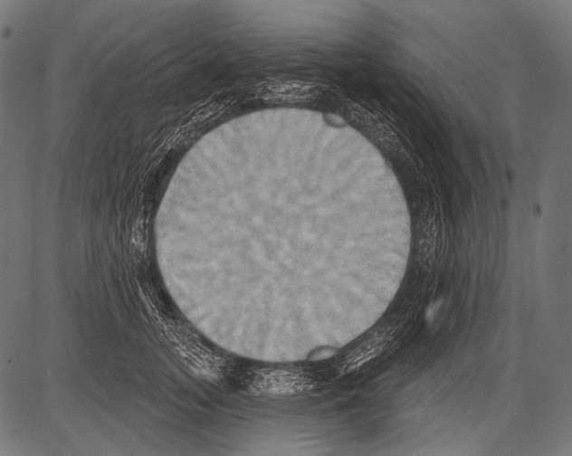 X0000081500755200702100055