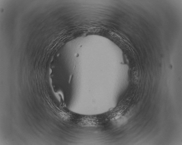 X0000081500756200702100055