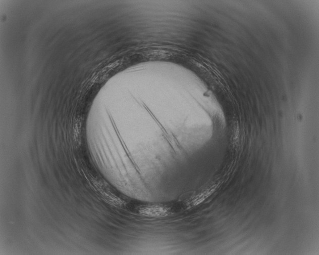 X0000081500759200702100055