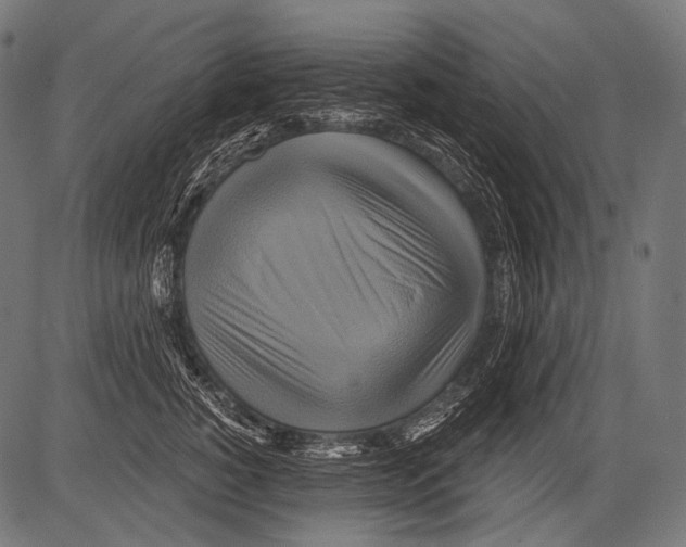 X0000081500760200702100055