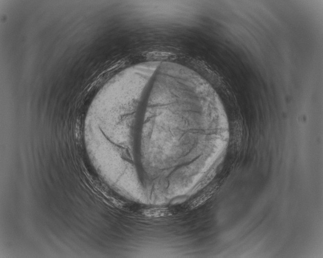 X0000081500761200702100055