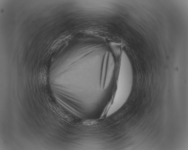 X0000081500762200702100055