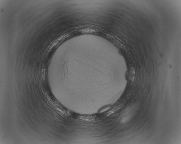 X0000081500763200702100055