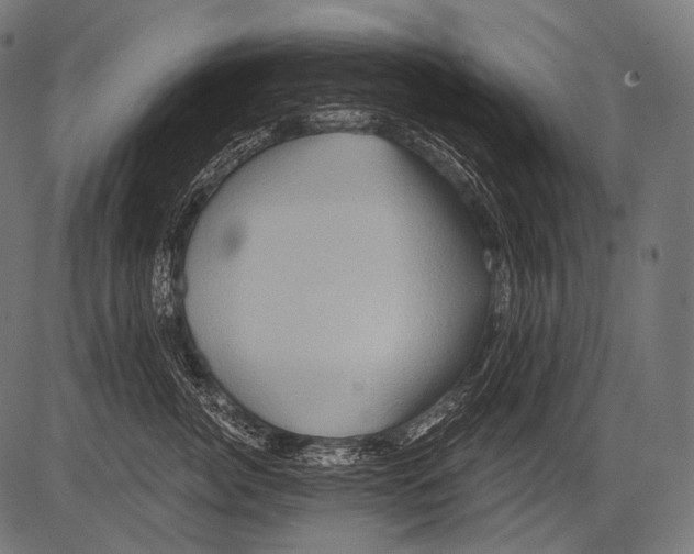 X0000081500764200702100055
