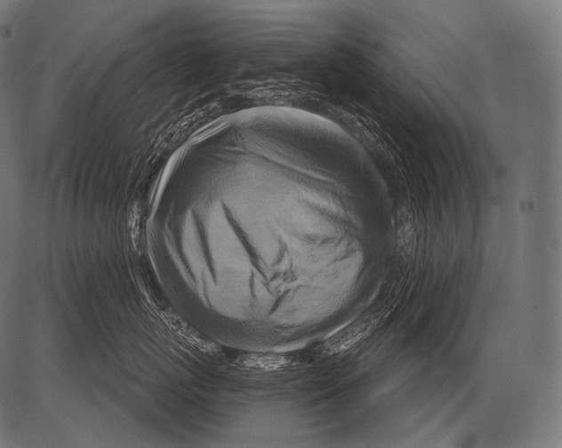 X0000081500767200702100055