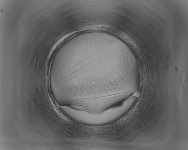 X0000081500792200702100054