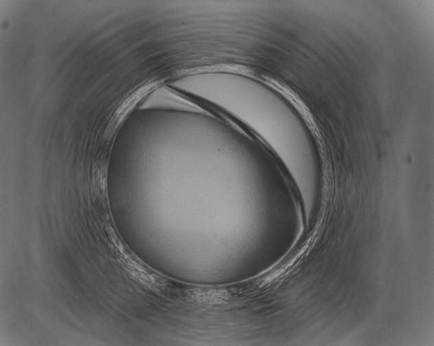 X0000081500809200702100054