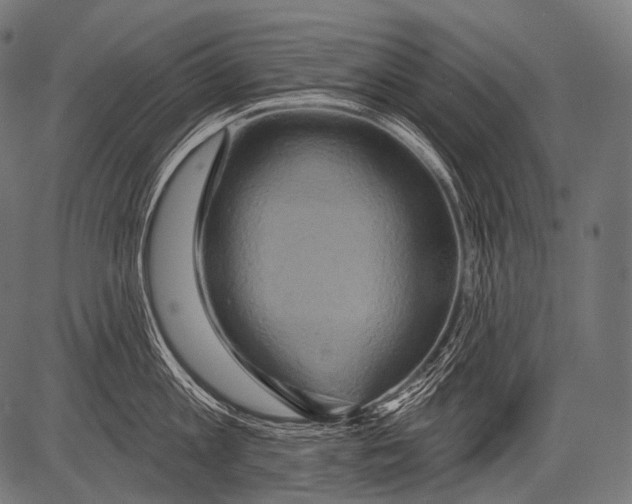 X0000081500813200702100054