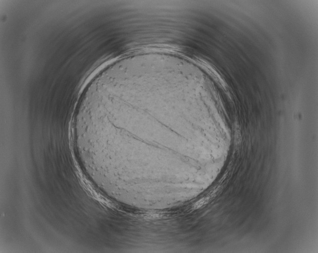 X0000081500814200702100054