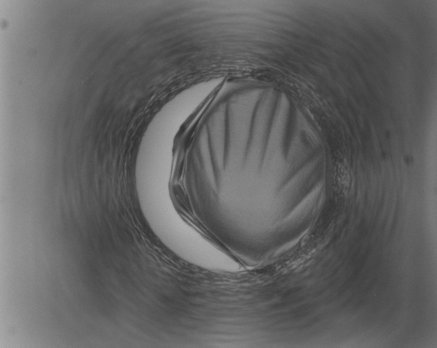 X0000081500818200702100053