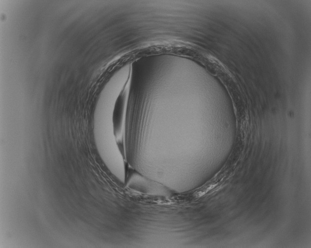X0000081500822200702100053