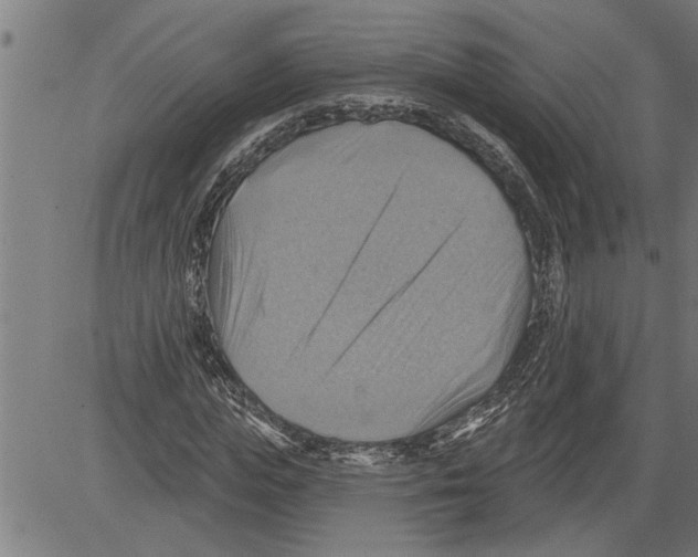 X0000081500823200702100053