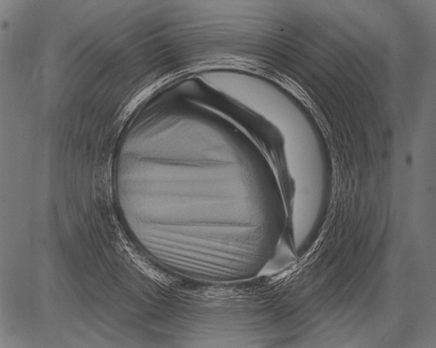 X0000081500842200702100053