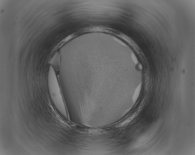 X0000081500857200702100054