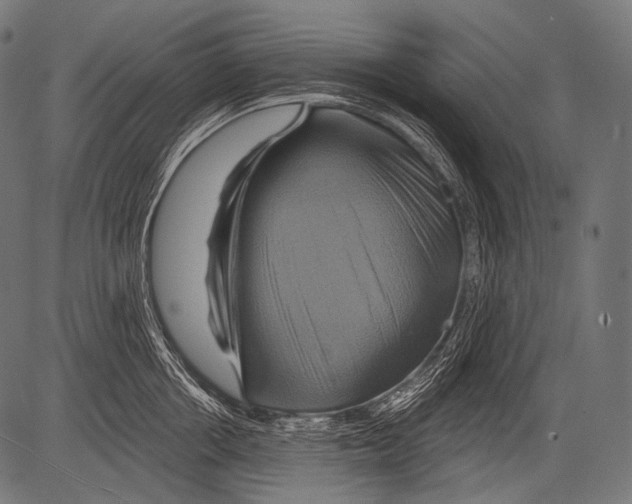 X0000081500858200702100054