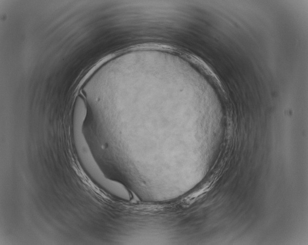 X0000081500860200702100054