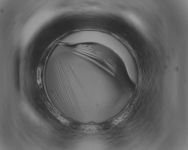 X0000081500862200702100054