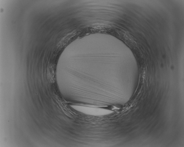 X0000081500868200702100053