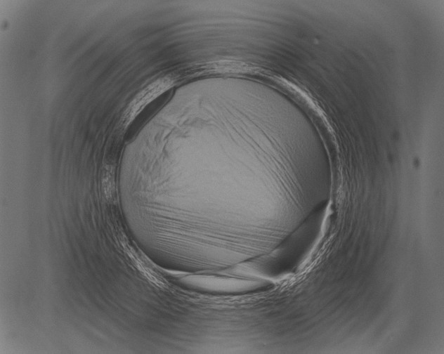 X0000081500889200702100053