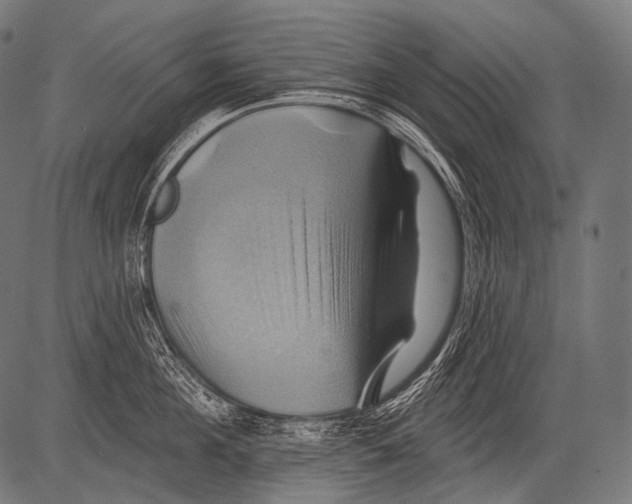 X0000081500908200702100052