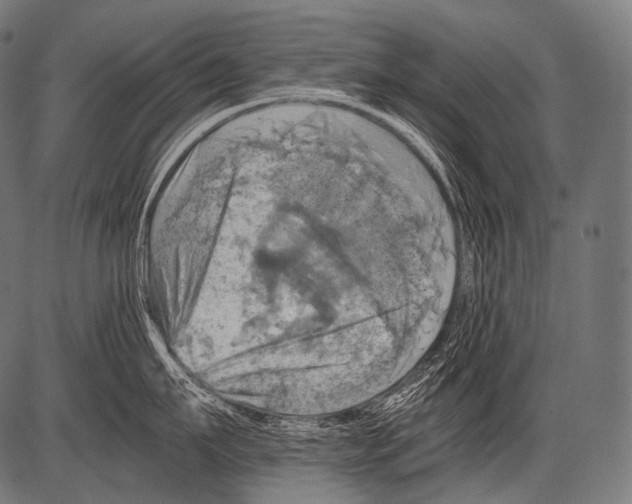 X0000081500911200702100052