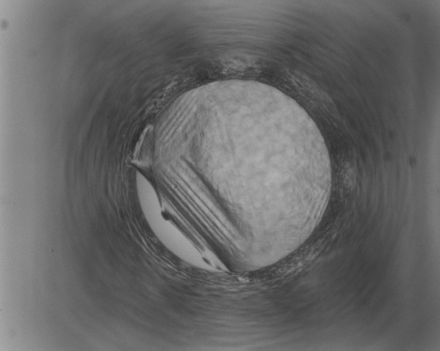 X0000081500914200702100051