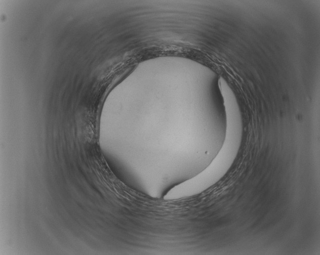 X0000081500916200702100052