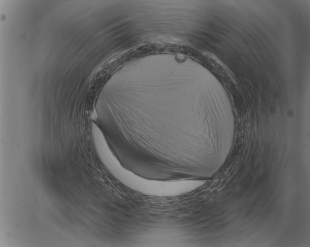 X0000081500919200702100052