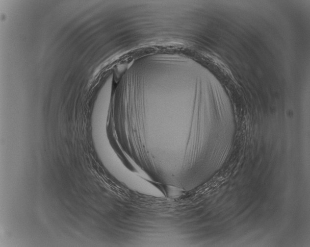 X0000081500920200702100052