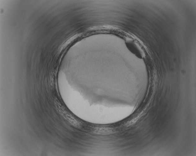 X0000081500921200702100052