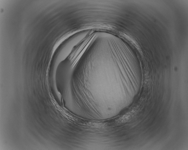 X0000081500928200702100052