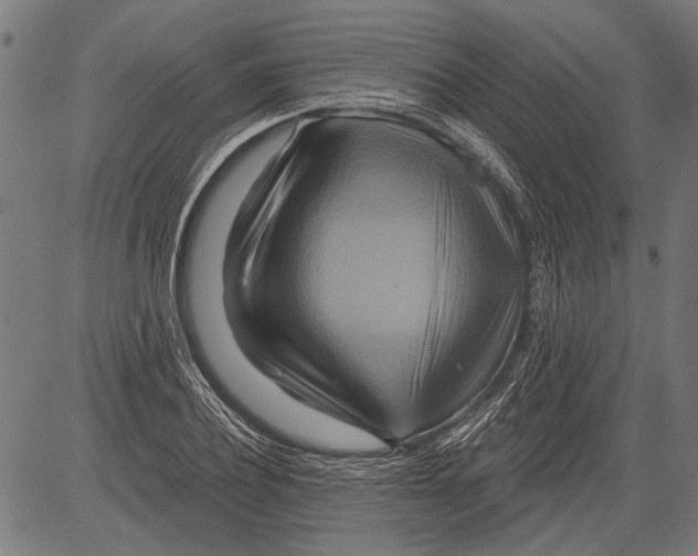 X0000081500932200702100052