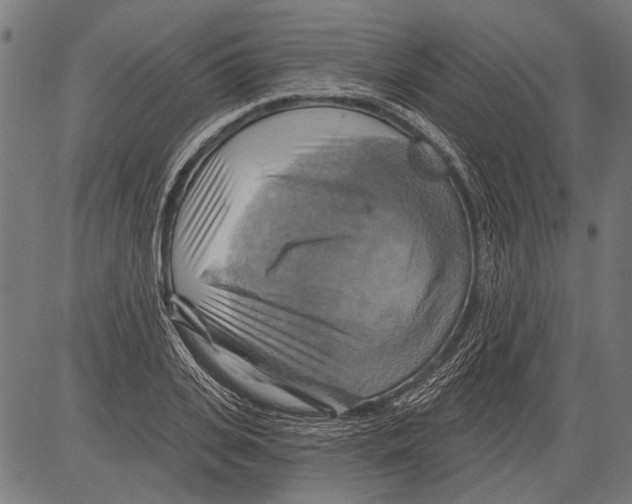 X0000081500935200702100052