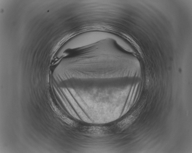 X0000081500938200702100052