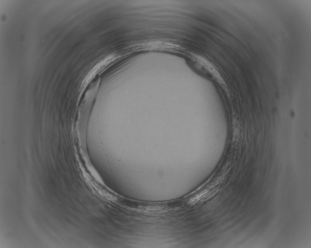 X0000081500946200702100052