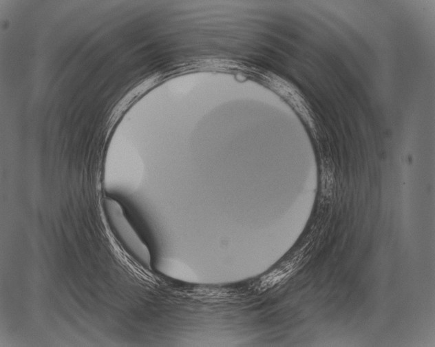 X0000081500954200702100052