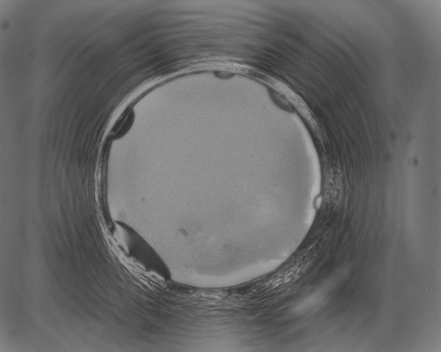 X0000081500955200702100052