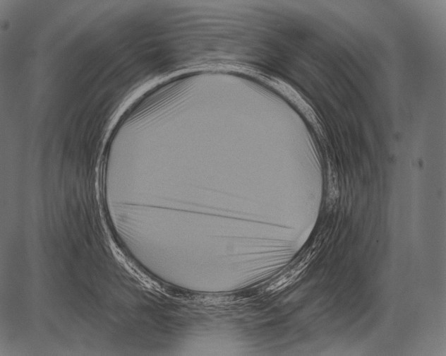 X0000081500958200702100052