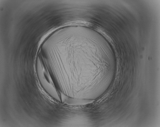 X0000081500960200702100052