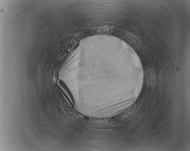 X0000081500962200702100051